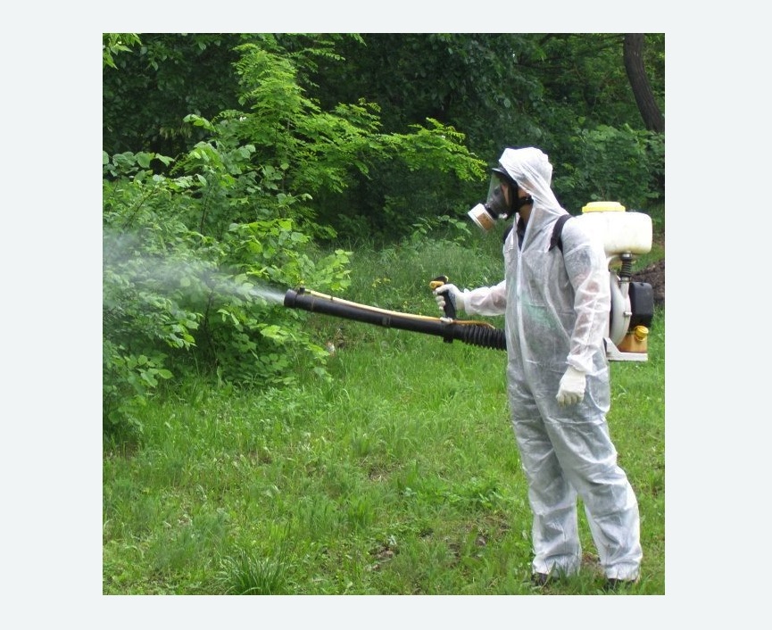 обработка дачи от клещей обработка территории от клещей в Среднеуральске