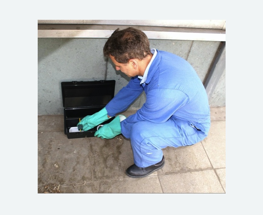 Уничтожение мышей в Среднеуральске Уничтожение мышей