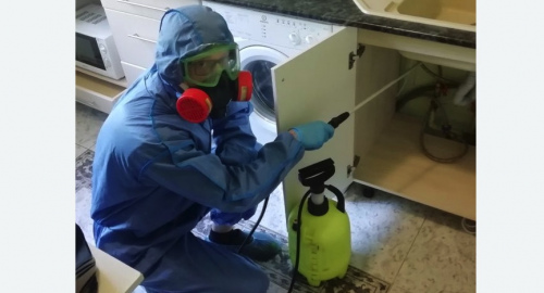 Уничтожение муравьев в квартире. Среднеуральск