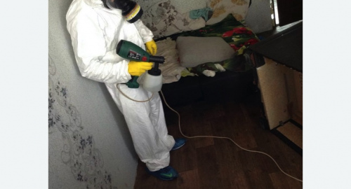 Обработка квартир от насекомых в Среднеуральске