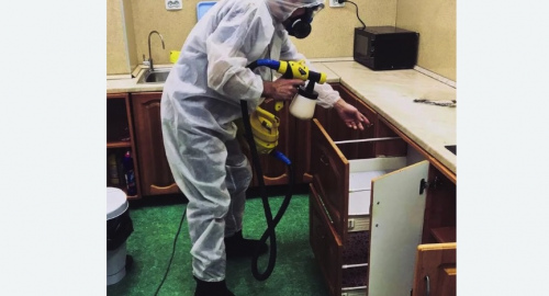 Дезинсекция квартиры. Среднеуральск