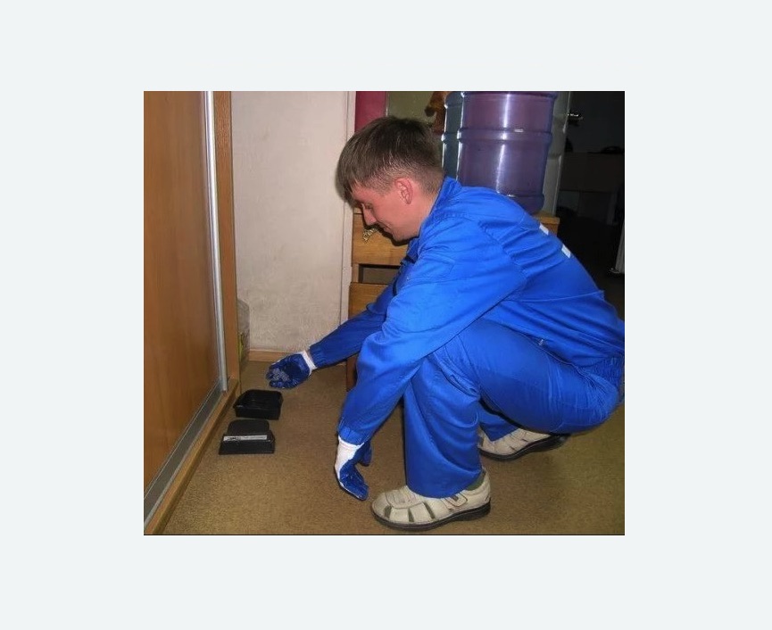 Дератизация крыс в Среднеуральске