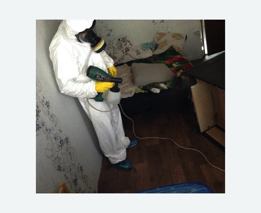 Обработка от насекомых в Среднеуральске Обработка квартиры от насекомых