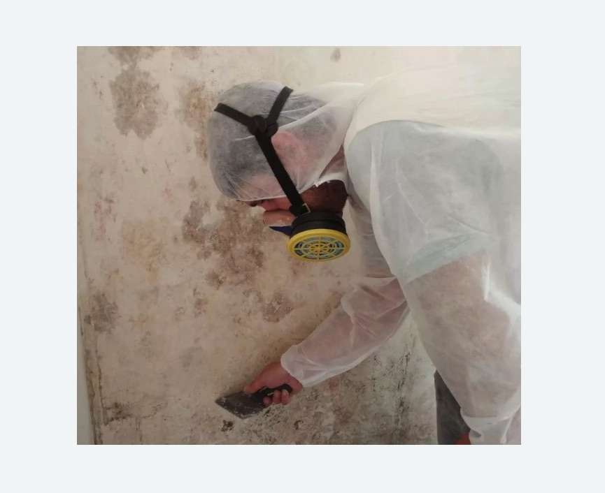 Обработка стен от плесени в Среднеуральске