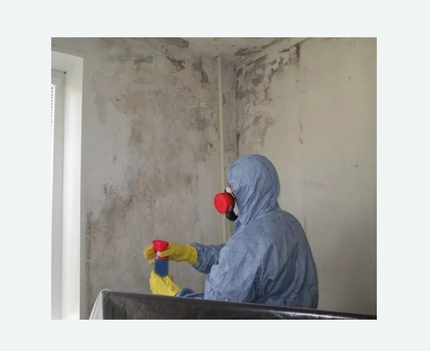 Удаление плесени в квартире в Среднеуральске