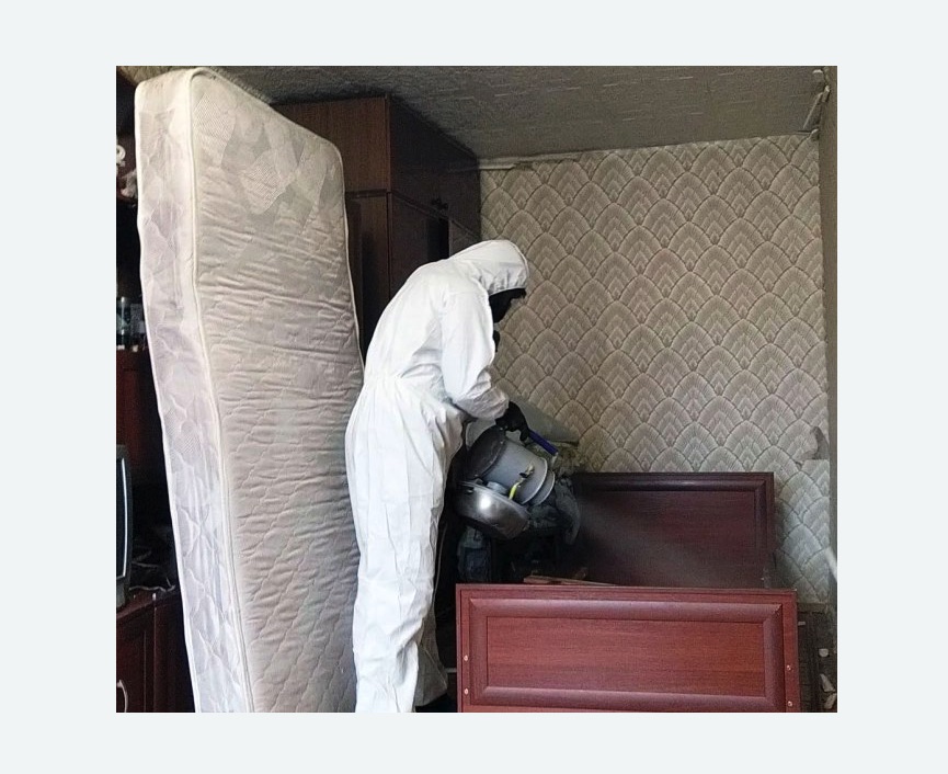 дезинфекция от клопов в Среднеуральске