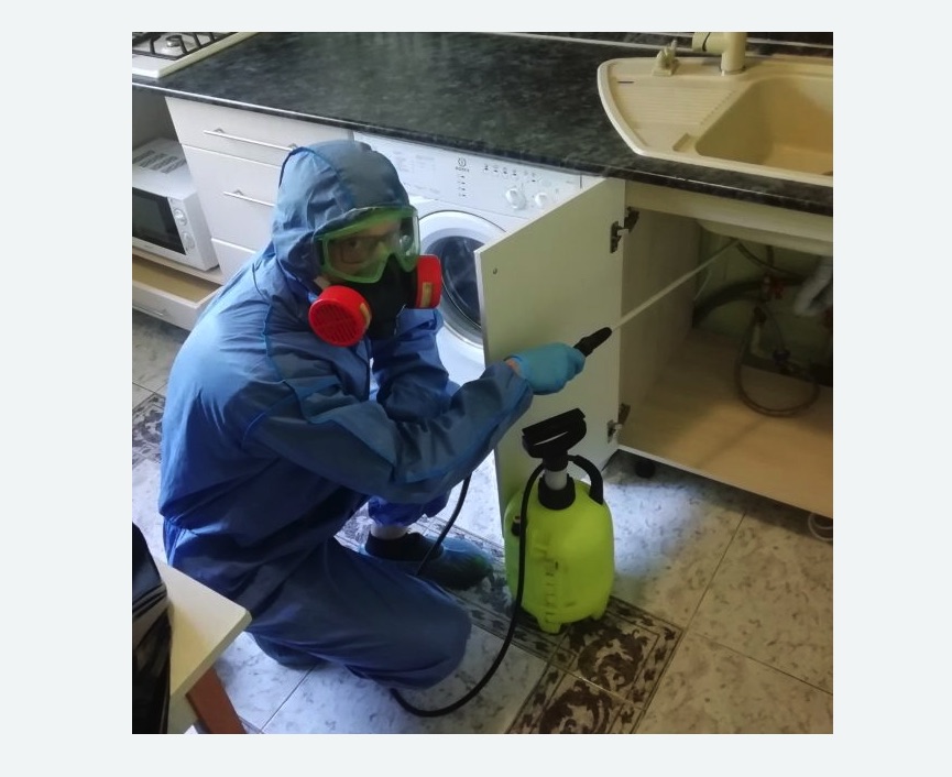 обработка от муравьев в квартире в Среднеуральске