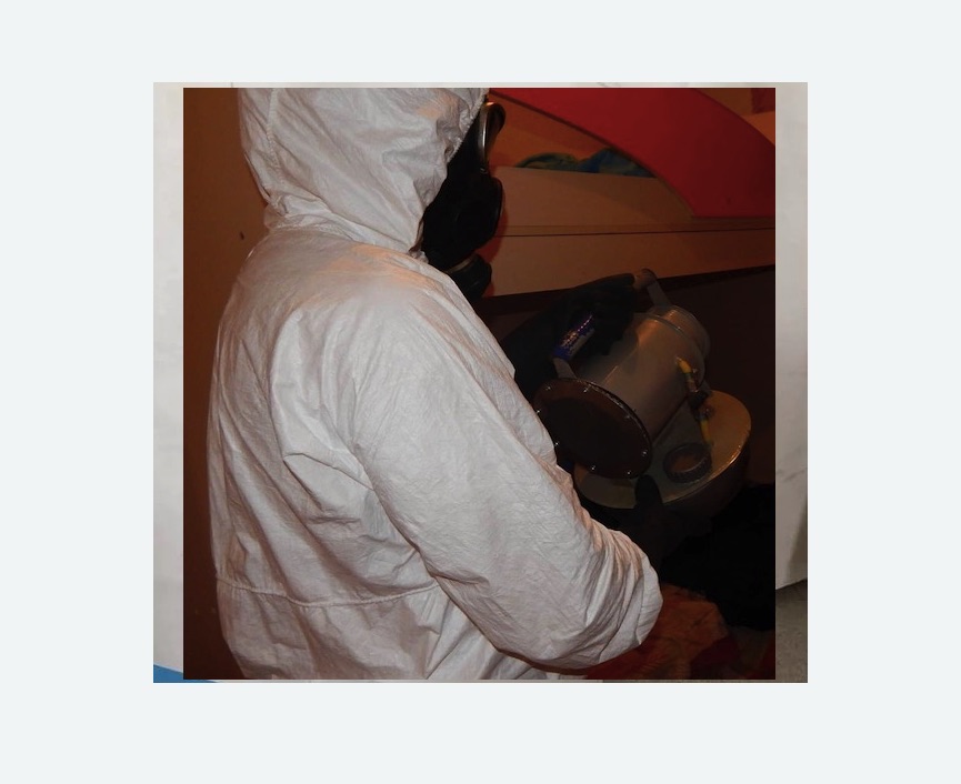 Дезинфекция от муравьев в Среднеуральске